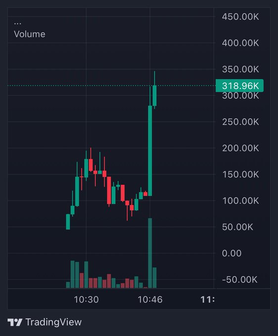 A TradingView stock chart showing candlestick price action and volume bars between 10:30 and 11:00, with a notable price level marked at 318.96K and volume axis on the right.