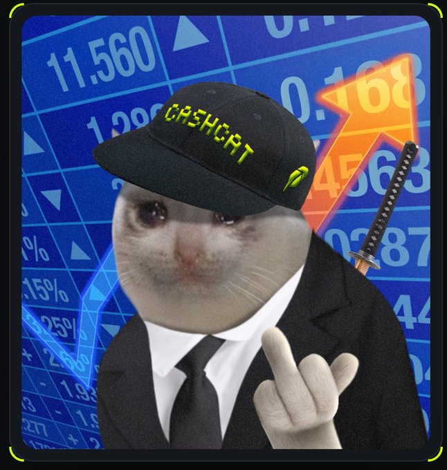A meme image shows a cat wearing a suit and a black hat reading "CASHCAT," pointing a finger against a background of rising stock market numbers and an orange arrow.