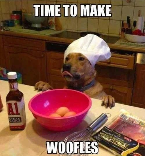 A pit bull-type dog wearing a chef's hat sits at a kitchen counter with a bowl of eggs, a whisk, and a bottle of A1 Steak Sauce, captioned 'TIME TO MAKE WOOFLES.'