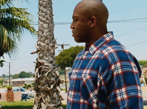 The image shows a man wearing a blue plaid shirt standing next to a palm tree, with his head turned to the side as if he's looking at something or someone off-camera. The background includes a street scene with cars parked along the curb and power lines running across it. There is also an object in the foreground that appears to be a car. The image has been captioned "BUY MORE @LOAN_Protocol", which suggests that there might be some sort of advertisement or promotion related to the post.