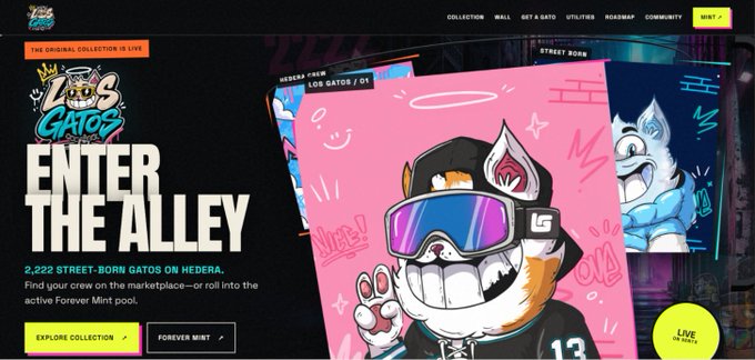 The image shows a promotional webpage for "Los Gatos," featuring a "Street Born" collection of 2,222 street-born gatos on the Hedera blockchain, with a cartoon calico cat wearing ski goggles and a cap. The accompanying post "Today or tomorrow?" likely relates to the prominent "WINT" tab in the top right corner, hinting at an upcoming or imminent mint event for the collection.