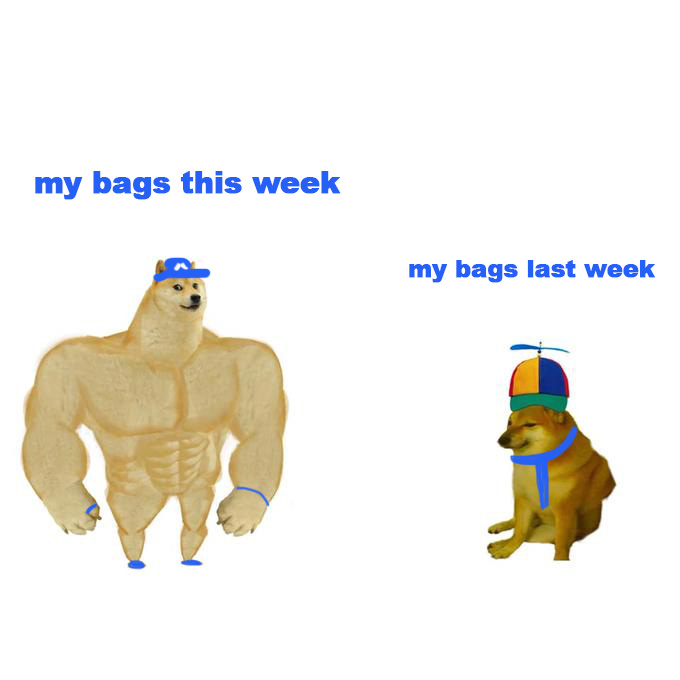 A buff "Swole Doge" doge labeled "my bags this week" stands confidently next to a small, ordinary Cheems doge wearing a propeller beanie labeled "my bags last week," humorously illustrating the post's message about BlackRock's $170M Bitcoin and $42M Ethereum purchases signaling a major portfolio upgrade during the dip.