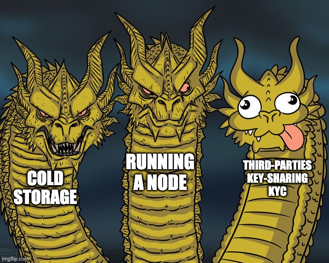 A three-headed dragon meme illustrating Bitcoin self-custody concepts, with the heads labeled 'COLD STORAGE', 'RUNNING A NODE', and 'THIRD-PARTIES KEY-SHARING KYC'.