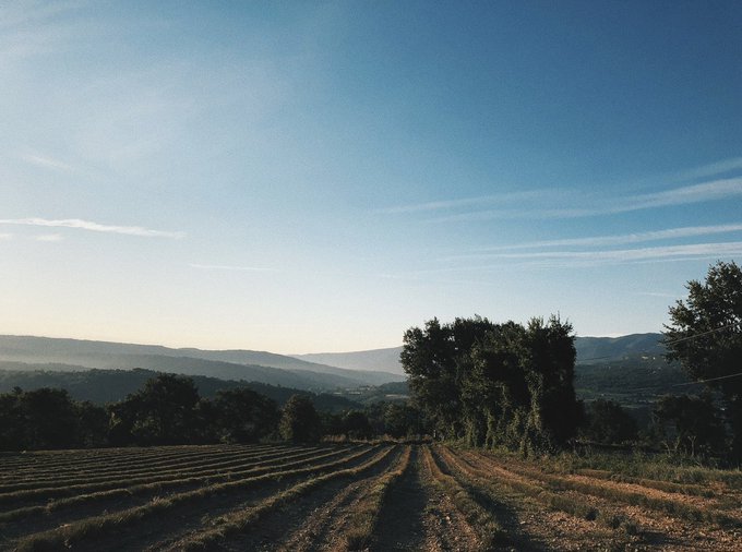 A landscape photograph shows freshly tilled agricultural rows stretching into the distance toward rolling hills and trees under a vast blue sky with wispy clouds.