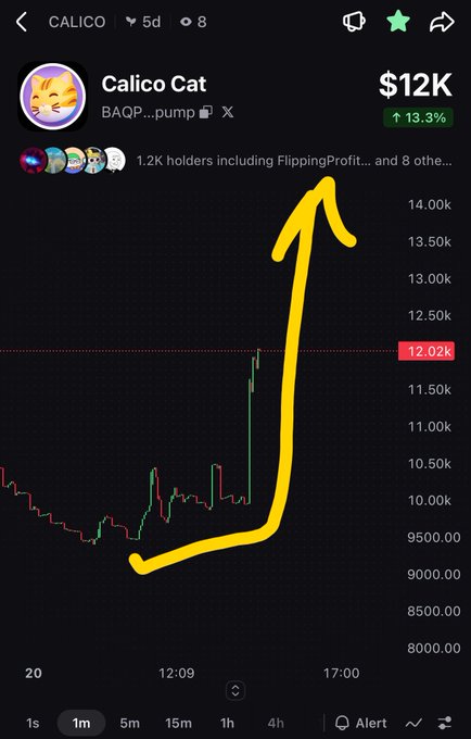 A trading chart for 'Calico Cat' (BAQP...pump) showing a price of $12K with a 13.3% increase, marked by a hand-drawn yellow arrow pointing upward.