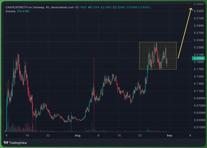 A TradingView 4-hour candlestick chart for CASHCAT/WETH on Uniswap showing price movement from $0.0199 to $0.3000, with volume of 515.418K and a 7.64% change, featuring a yellow arrow indicating an upward breakout projection.