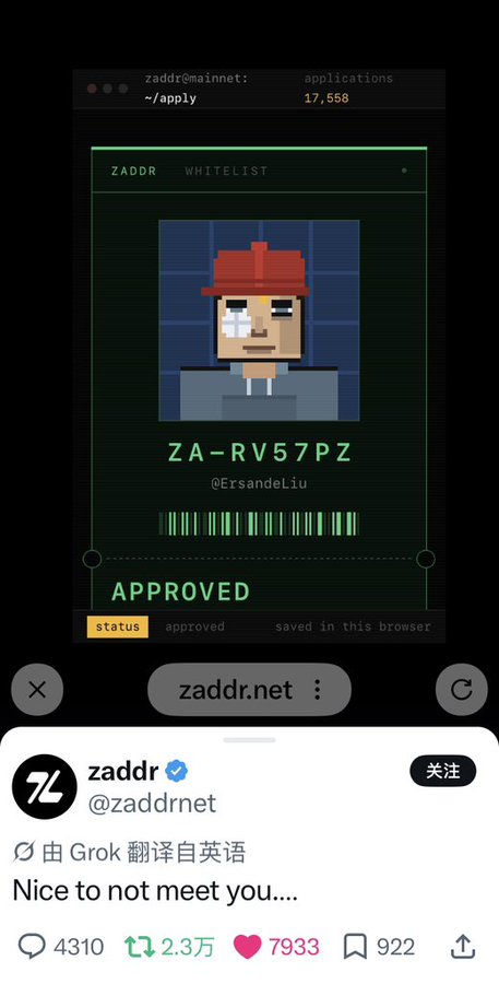 A screenshot from zaddr.net showing a pixelated avatar with a red hat and the ID "ZA-RV57PZ" (@ErsandeLiu) marked as "APPROVED", shared in a tweet by @zaddrnet saying "Nice to not meet you...."