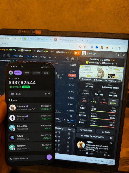 A hand holding a smartphone running the Phantom crypto wallet showing a balance of $337,925.44, positioned in front of a laptop displaying the CashCat/WETH token page on CoinGecko.