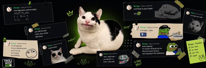 A black banner displays a central image of a black and white cat, surrounded by a collage of humorous chat messages from "Beluga" including jokes like "rent free in your head" and "i'm currently eating this for the next meet season you're going to the slideshow," with the Moby logo in the bottom left corner to indicate it's a community-submitted banner for the $beluga token.