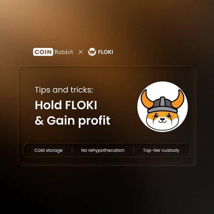 Promotional graphic for CoinRabbit × FLOKI cryptocurrency, reading 'Tips and tricks: Hold FLOKI & Gain profit' with features 'Cold storage | No rehypothecation | Top-tier custody' and a viking-helmeted Shiba Inu mascot.