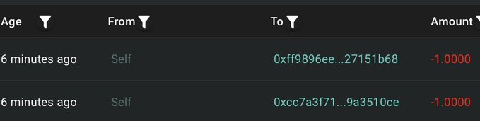 The screenshot shows two transactions of -1.0000 each, originating from "Self" to different wallet addresses. This visually confirms the post's statement about the Hyperliquid Grants wallet conducting test transactions.