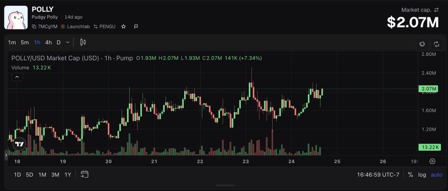 A cryptocurrency market chart for 'POLLY / Pudgy Polly' token on the PENGU launchpad, showing POLLY/USD market cap with a current value of $2.07M (+7.34%) and volume of 13.22K.