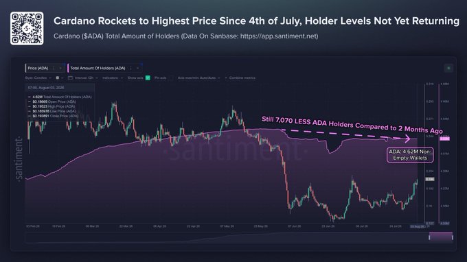 A Santiment chart titled 'Cardano Rockets to Highest Price Since 4th of July, Holder Levels Not Yet Returning' shows ADA price and holder data, noting 'Still 7,070 LESS ADA Holders Compared to 2 Months Ago' and 'ADA: 4.62M Non-Empty Wallets.'