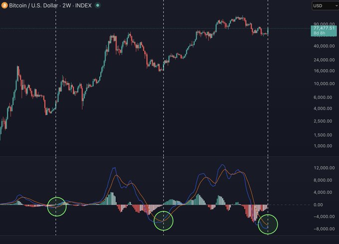 Bitcoin's (BTC/USD) 2-week chart showing the current price at $77,477.51, with three green-circled instances where the MACD (below) crossed, aligning with the post's observation that prior bear market bottoms preceded the 2W MACD cross.