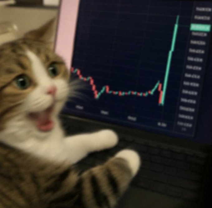 A shocked-looking tabby cat with its mouth wide open sits in front of a laptop displaying a stock chart with a sudden sharp upward spike in a green candlestick. The image humorously captures the relatable thrill and disbelief of watching a stock "pump," perfectly matching the caption "Every day this feeling again... PUMP IT."