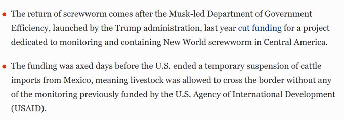 The image shows a post with text written in red at the top, which reads "The return of screwworm comes after the Music-led Department of Government Efficiency, launched by the Trump administration, last year finding for a project dedicated to monitoring and containing new World screwworm in Central America." The post also mentions that the U.S. Agency for International Development (USAID) is involved with this project.