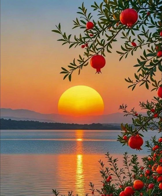 A scenic sunset over a calm body of water, framed by the leaves and red pomegranates of a tree branch in the foreground.