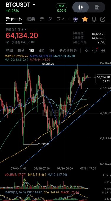 A candlestick chart of BTCUSDT showing the Bitcoin price at 64,134.20 (up 0.25%), with 24-hour highs and lows of 64,688.20 and 63,635.00, and a recent low of 61,272.60 visible on the chart — supporting the post's commentary on shorting Bitcoin this year, as the price action shows multiple rejections from higher levels and notable downward swings.