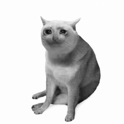 A gray and white cat sits against a plain background, looking up attentively. The image visually reinforces the post's playful advice by depicting the literal "cashcat"—a cat you should refuse to sell.