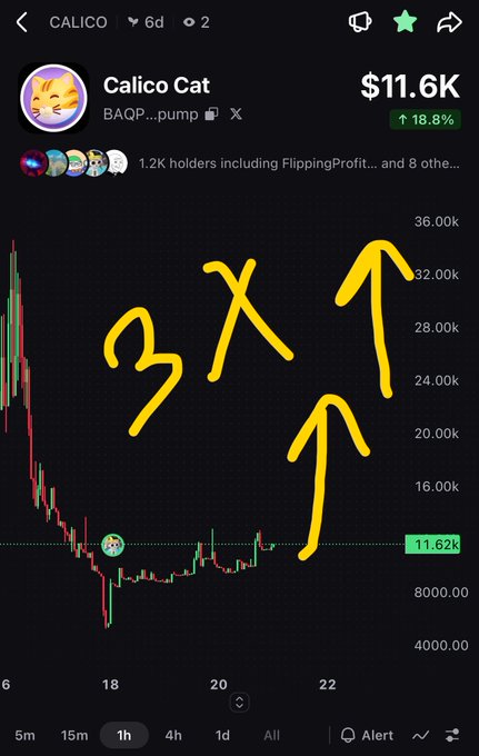 A DexScreener or similar trading platform chart shows the 'Calico Cat' token (BAQP...pump) on Solana with a current value of $11.6K, marked up 18.8%, featuring hand-drawn yellow '3X' text and upward arrows indicating bullish sentiment.