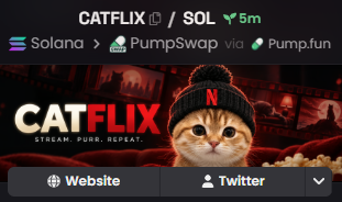 Promotional graphic for CATFLIX / SOL cryptocurrency token on Solana via PumpSwap and Pump.fun, featuring a cat in a popcorn bucket with the tagline 'STREAM. PURR. DEFEAT.'