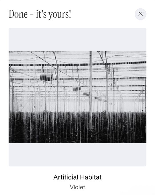 A confirmation screen displays 'Done - it's yours!' above a black-and-white photograph titled 'Artificial Habitat' by Violet.