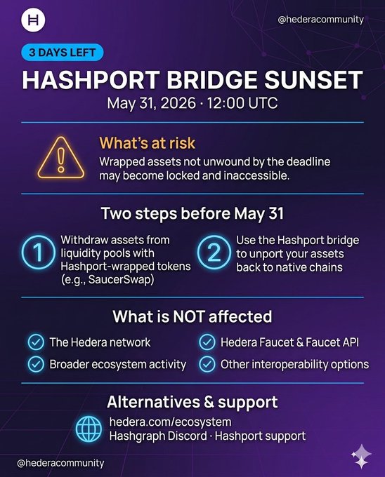 The image shows a purple background with white text that reads "What's at risk?". Below this, there are two steps before May 31 at 12:00 UTC for the Hashport bridge. The first step involves wrapping assets using the Hashport Bridge, while the second step is about transferring those assets to or from Hedera via Hashport. The image also includes a warning that warns users not to use the Hashport Bridge if they want their assets to remain unhampered by the deadline.