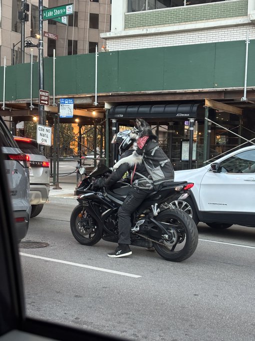 Two helmeted people sit on a black motorcycle in city traffic near a scaffolding-covered storefront, with a “Lake Shore” street sign visible.