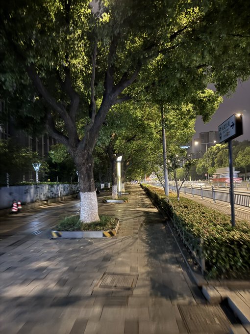 The image shows a tree-lined sidewalk with a street sign nearby, possibly indicating a one-way street or a specific direction for drivers. The scene appears to be captured at night, as evidenced by the dark sky and the presence of streetlights illuminating the area. There is also an orange traffic cone placed on the sidewalk, which could indicate ongoing construction or maintenance work in the vicinity.