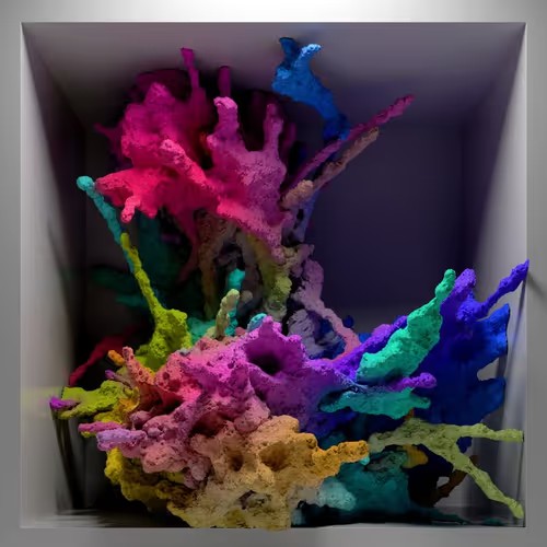 3D render of a vibrant multicolored coral-like organic sculpture with pink, green, blue, purple, and yellow branching forms displayed inside a white shadow box frame.