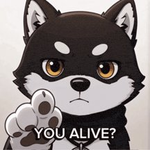 None
