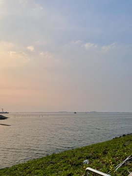 A serene waterfront view at dusk, featuring a calm sea stretching to a distant horizon under a soft, cloudy sky, with greenery lining the shore—reflecting the poster's comment about the beautiful view as they kick off a new trading week.