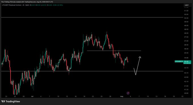 A TradingView 4-hour candlestick chart of LTC/USD Perpetual Contract (LTCUSDT) showing price action hovering around $44.46, between resistance near $46.40 and support at $43.35, with a hand-drawn white arrow illustrating a potential dip-and-rebound scenario into the support zone before an upward move.
