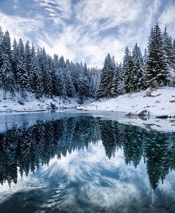 A serene landscape photo of a snow-covered pine forest reflected perfectly in the still waters of a lake under a blue, cloudy sky.