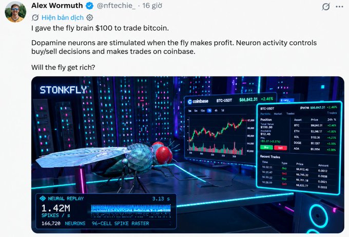 A tweet by Alex Wormouth (@nftechie_) shows the 'STONKFLY' project where dopamine neurons from a fly are stimulated based on Coinbase trading profits, displaying a fly connected to a BTC-USDT trading interface.