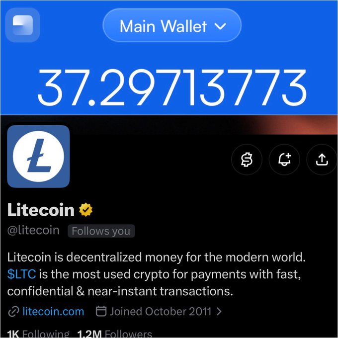 A mobile screen displaying a Main Wallet balance of 37.29713773 LTC above the official @litecoin profile (1.2M followers, joined October 2011), which now "Follows you." This image illustrates the poster's claim of accumulating at least one $LTC daily for the past month, resulting in their wallet balance and a follow from the official Litecoin account.