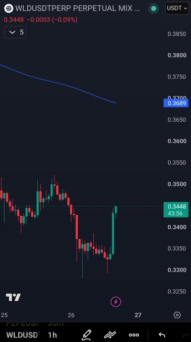 Trading chart of WLDUSDTPERP showing a slight -0.09% decline at 0.3448, displaying recent price consolidation near recent lows on the 1h timeframe.
