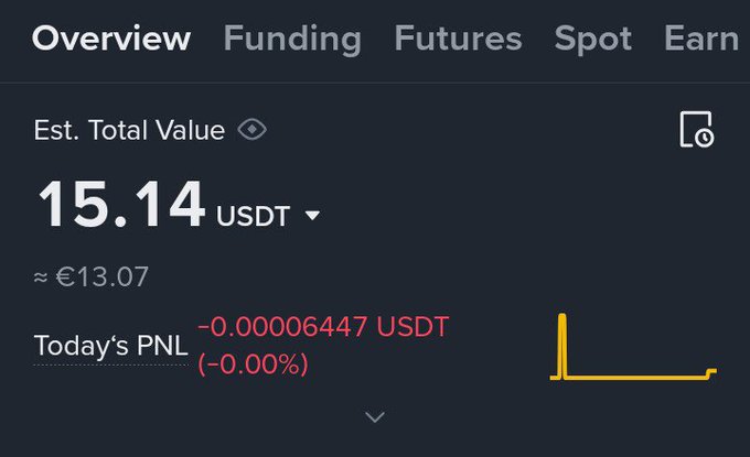 A Binance wallet overview showing an estimated total value of 15.14 USDT (≈€13.07) with today's PNL at -0.00006447 USDT (-0.00%).