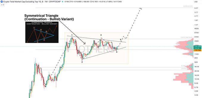 A Crypto Total Market Cap Excluding Top 10 chart on TradingView highlighting a 'Symmetrical Triangle (Continuation - Bullish Variant)' pattern.
