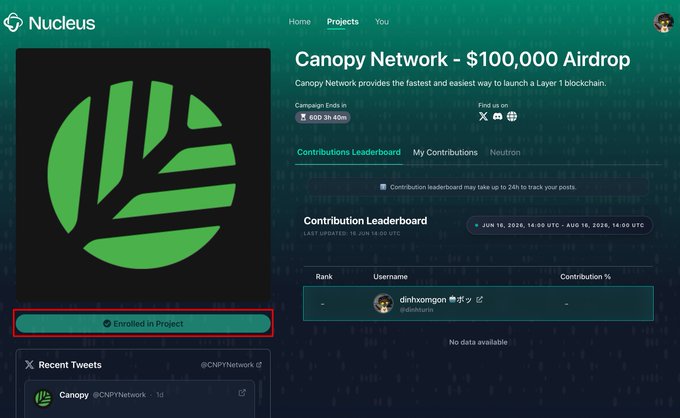 This image captures a screenshot of a website displaying information about a project titled "New campaign is now open on @NucleusCodes @CNPYNetwork $100,000 Airdrop", which seems to be a fundraising initiative for Canopy. The site includes a "Contributions" tab where individuals can contribute money to the fundraiser. This image also features a person's Twitter account being mentioned at the bottom of the page and an email address, but no direct involvement in the campaign is visible.