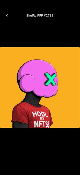 A digital NFT artwork titled "SkullRz PFP #2738" showing a purple skull character with an X-shaped eye wearing a red shirt that reads "HODL MY NFTS" against a yellow background.
