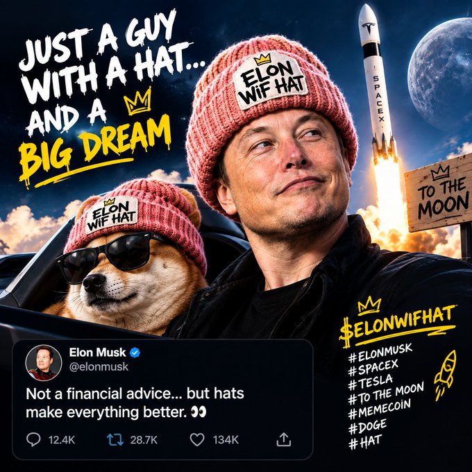 A meme poster featuring Elon Musk and a Shiba Inu dog wearing pink 'Elon WiF Hat' beanies, with the text 'JUST A GUY WITH A HAT... AND A BIG DREAM' and a fake tweet saying 'Not a financial advice... but hats make everything better.'