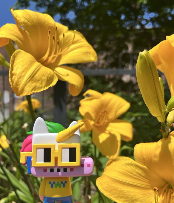 A colorful cartoon figurine with square glasses stands among bright yellow daylily flowers in a garden setting.