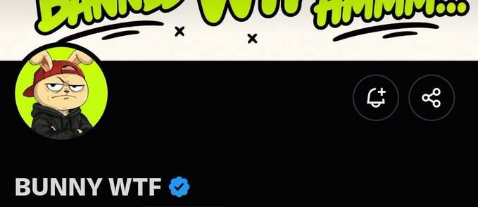 The image shows a Twitter header for "BUNNY WTF" featuring an avatar of a grumpy cartoon character wearing a red horned hat, with graffiti-style text reading "BUNNY WTF HMMM..." above. The post promotes a 30x guaranteed spot giveaway for the @Bunnywtfnft NFT collection (3,000 supply), with the banner serving as the project's branded visual identity.