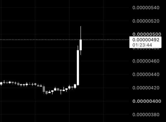 A candlestick chart shows a sudden sharp spike up to around 0.00000500 before pulling back to 0.00000492 at 01:23:44, illustrating the type of "random pump" in $SHIB that the post recommends shorting to profit in a bear market.