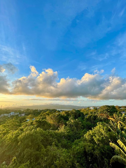 A scenic view of lush green treetops beneath a vivid blue sky with scattered white clouds at sunset.