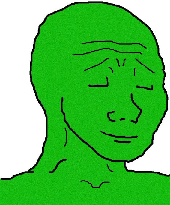 The image features a green cartoon face with closed eyes, giving off an expression of sadness or disappointment. The caption below the image reads "There is no second best $WOJAK onETH is the one", which suggests that the person depicted in the image might be unhappy about something specific to the $WOJAK cryptocurrency.