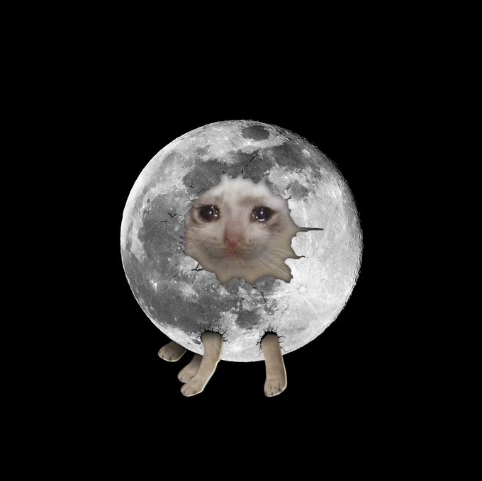 A humorous digital composite image shows a cat's face and paws emerging from holes in a realistic rendering of the moon against a black background.