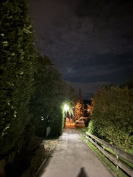 A night view down a paved residential walkway lined with hedges and a wooden fence, illuminated by streetlights under a cloudy sky.