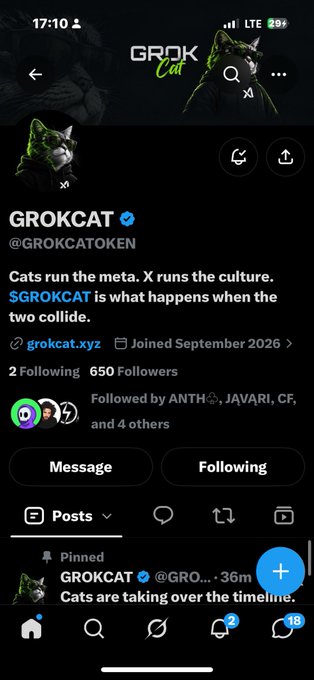A Twitter/X profile screenshot for 'GROKCAT @GROKCATOKEN' with the bio 'Cats run the meta. X runs the culture. $GROKCAT is what happens when the two collide.' joined September 2026 with 2 following and 650 followers.